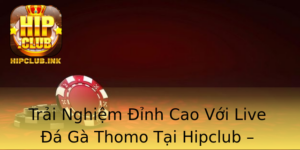 Trai Nghiem Inh Cao Voi Live A Ga Thomo Tai Hipclub Kham Pha The Gioi Ca O A Ga Chat Luong 2